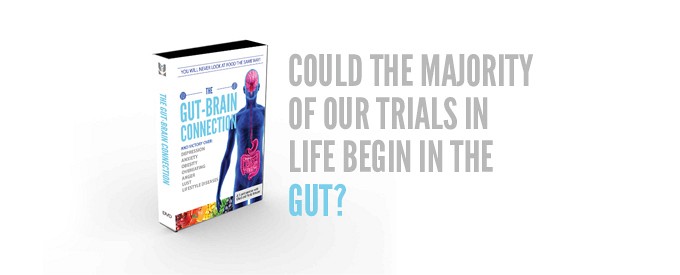 Updated version 2024: The Gut-Brain Connection: overcoming depression, anxiety, anger, lust, lifestyle diseases & help with intestinal disturbances