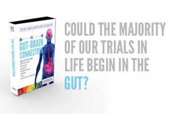 Updated version 2024: The Gut-Brain Connection: overcoming depression, anxiety, ...